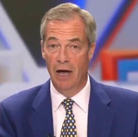 'Il le mérite!'  Nigel Farage se déchaîne sur Joe Biden alors que les sondages montrent une baisse de popularité