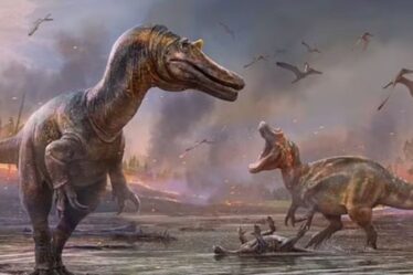 Île de Wight : une nouvelle espèce de dinosaure « infernal » inconnu a été identifiée après la découverte de restes de plage