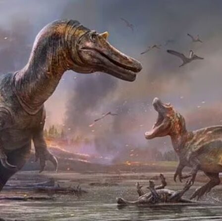 Île de Wight : une nouvelle espèce de dinosaure « infernal » inconnu a été identifiée après la découverte de restes de plage