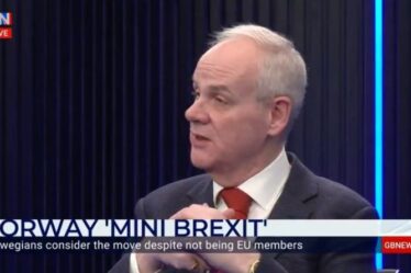 « Ils sont enfermés ! »  Lord, qui soutient le Brexit, dit que les États membres eurosceptiques sont bloqués dans l'UE