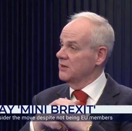 « Ils sont enfermés ! »  Lord, qui soutient le Brexit, dit que les États membres eurosceptiques sont bloqués dans l'UE