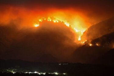 Incendie de forêt à Malaga: des milliers de personnes évacuées alors qu'un «monstre affamé» ravage une station balnéaire espagnole