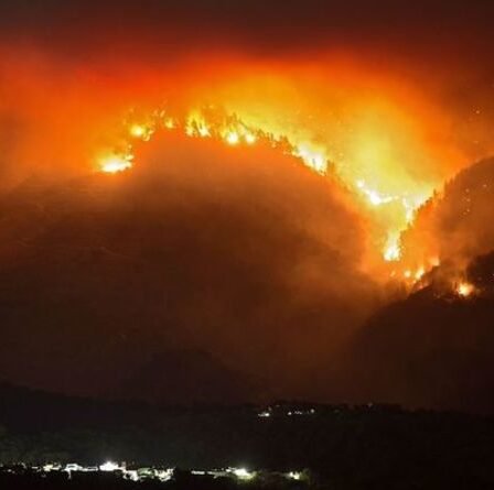Incendie de forêt à Malaga: des milliers de personnes évacuées alors qu'un «monstre affamé» ravage une station balnéaire espagnole