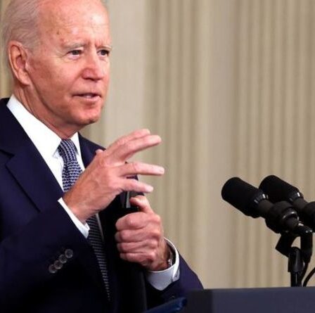 « Je n'y arriverai pas ! »  Joe Biden «ne terminera pas» son mandat présidentiel alors que son remplaçant attend dans l'aile