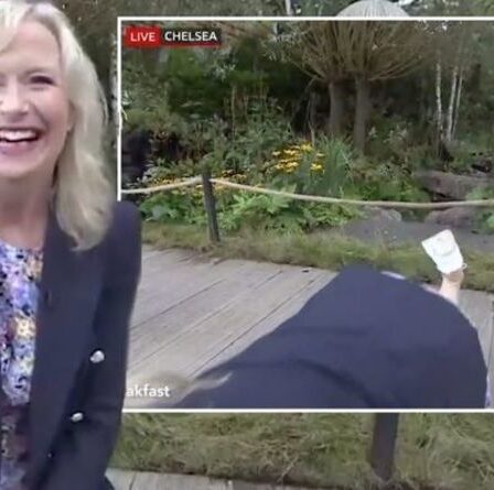 « Kirkwood à terre ! »  Carol Kirkwood traînée au sol par un chien-guide courageux en direct