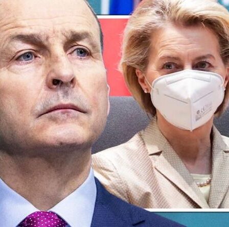 L'Irlande d'abord !  Un ex-diplomate soutenu par Irexit dit à Dublin d'arrêter de se rapprocher de Bruxelles