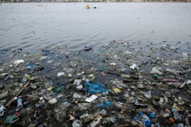 L'UE a honte de polluer les mers alors qu'un rapport accablant avertit que les plastiques menacent la lutte contre le climat