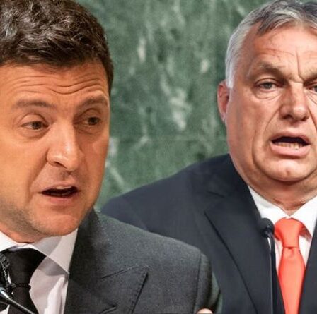 L'Ukraine et la Hongrie convoquent des ambassadeurs alors que la fureur éclate contre l'approvisionnement en gaz de la Russie