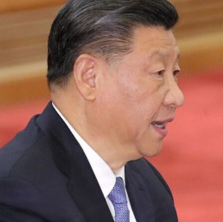 La Chine met l'UE en garde contre de "graves conséquences" si l'Allemagne n'arrête pas la guerre contre les entreprises