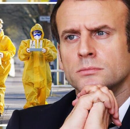La France est confrontée à un virus hautement contagieux alors que la grippe se propage à travers l'Europe - avertissement émis