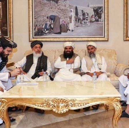 La Russie cherche à "opérer activement à Kaboul" et affirme que les talibans sont "démocratiques"