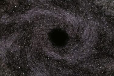 La découverte accidentelle d'un trou noir prouve les théories de Stephen Hawking juste après 50 ans