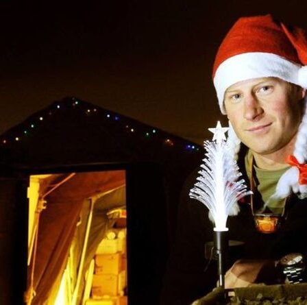 La famille royale «ne peut pas faire confiance» à la réunion de Harry Xmas car elle pourrait figurer dans les mémoires, affirme un commentateur