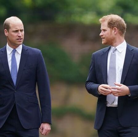 La fureur du prince William contre Harry et Meghan: "On pouvait dire dans sa voix qu'il était lésé"