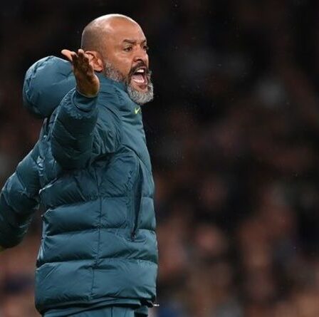 La paire de Tottenham pourrait améliorer l'humeur et la fortune de Nuno Espirito Santo après la victoire de NS Mura
