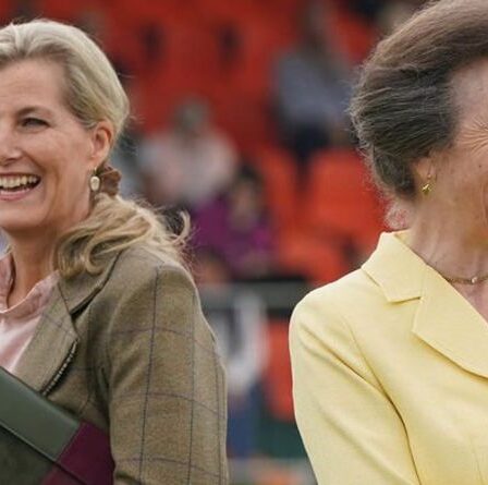 La princesse Anne et Sophie Wessex se réunissent pour un rare engagement « commun de rêve »