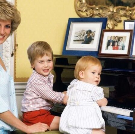 La princesse Diana a élevé ses fils pour qu'ils soient « indépendants et libres d'esprit » dans leurs différents rôles