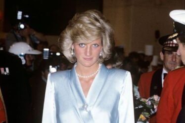 La princesse Diana honorée par un nouvel hommage à quelques instants de la statue de Harry et William