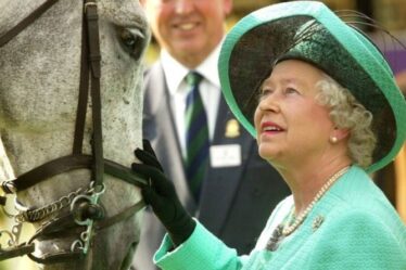 La séquence de chance de Queen avec les chevaux se poursuit, alors que le prix dépasse 460 000 £ pour 2021