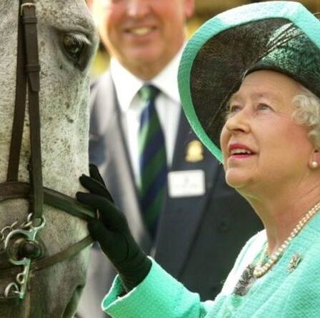 La séquence de chance de Queen avec les chevaux se poursuit, alors que le prix dépasse 460 000 £ pour 2021
