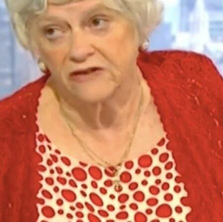 « L'a soulevé il y a SIX ans » Widdecombe s'indigne contre Raab pour son incapacité à sauver les traducteurs afghans
