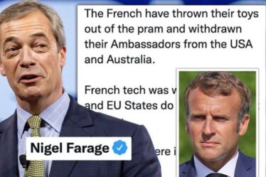 L'anglosphère est de retour ils détestent ça !  Farage se moque de la France alors que Macron « jette des jouets hors de la poussette »