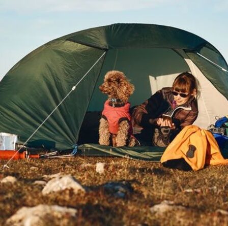 "Le camping sauvage est illégal": Camper explique comment le faire sans enfreindre la loi - "vraiment sympa"