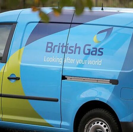 Le chef de British Gas met en garde contre une augmentation de la facture "dans tous les domaines"