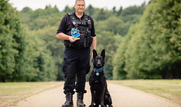 Le chien policier Stark reçoit un prix de bravoure pour sa détention héroïque – "il n'a jamais reculé"