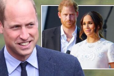 Le "coup" de William met la pression sur Harry et Meghan qui auraient pu "faire plus" en tant que membres de la famille royale