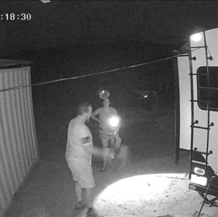 Le fantôme d'un chien apparaît sur une photo incroyable après la mort d'un fidèle animal de compagnie – "pleurant des larmes de joie"