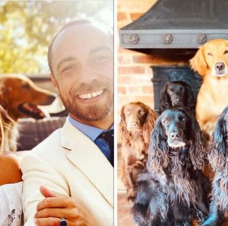 Le frère de Kate Middleton, James Middleton, déménage dans un manoir de 1,5 million de livres sterling après une «expérience stressante»