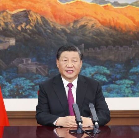 Le masque de la Chine glisse alors que la répression contre les hommes « efféminés » est lancée