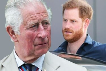 Le plan du prince Harry pour une rencontre tendue avec le prince Charles: "Le redouter"