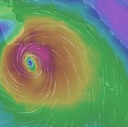 Le point chaud des vacances au Mexique en alerte après l'avertissement majeur de l'ouragan Olaf -