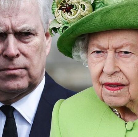 Le prince Andrew a exhorté à «aller tranquillement dans un mouvement altruiste» pour aider la reine – avertissement d'un expert
