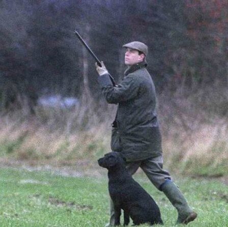 Le prince Andrew organise une fête de tir avant l'audience pour agression sexuelle – « non recherché à Balmoral »