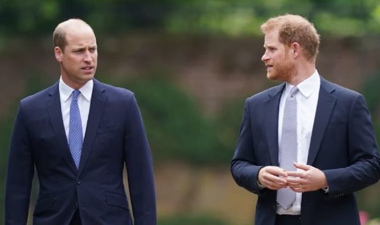 Le prince Harry et William ne verront JAMAIS « les yeux sur les yeux » en tant que frères « pas en bons termes »