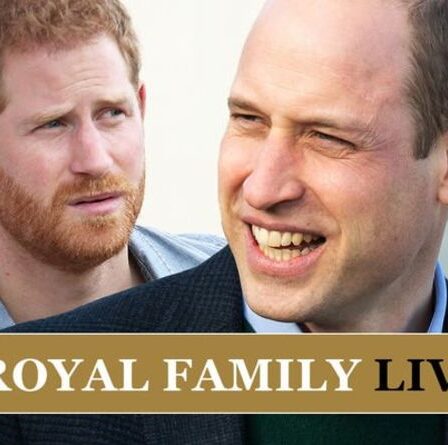 Le prince Harry et le prince William «peu probable» de mettre fin à la rupture avant la réunion royale l'année prochaine