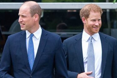 Le prince Harry et le prince William pourraient être réunis par le film du prince Philip – « Peut être une étincelle »