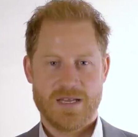 Le prince Harry s'associe à Ursula von der Leyen pour une nouvelle campagne - "Juste le début"