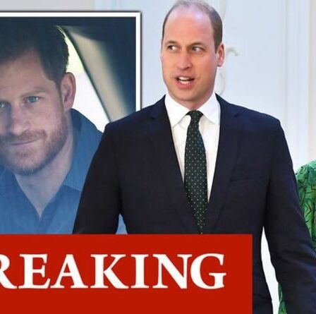 Le prince William et Kate envoient un message d'anniversaire au prince Harry offrant une branche d'olivier au milieu d'une faille