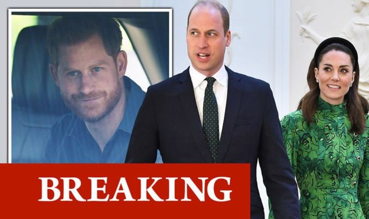 Le prince William et Kate envoient un message d'anniversaire au prince Harry offrant une branche d'olivier au milieu d'une faille