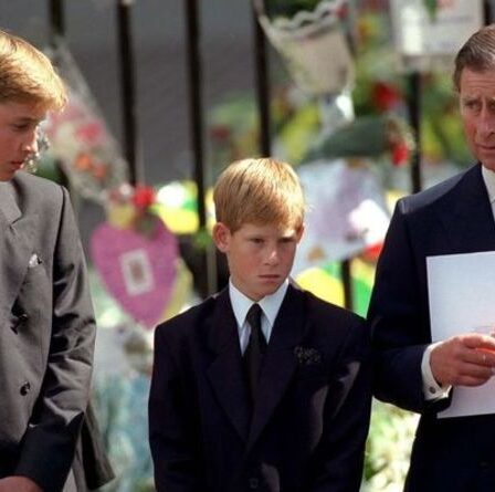 Le prince William et le prince Harry «ne pouvaient pas comprendre» le chagrin du public suite à la mort de Diana