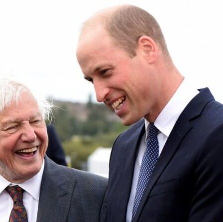 Le prince William jouera dans la prochaine série de la BBC aux côtés de Sir David Attenborough