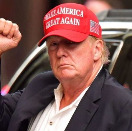 Le projet de Donald Trump d'évincer Joe Biden lors de la prochaine élection présidentielle américaine est "très dangereux"