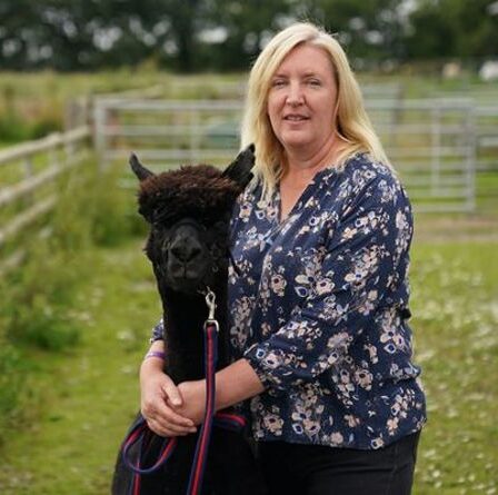 Le propriétaire de Geronimo conteste la décision de tuer l'alpaga après que l'autopsie ne montre aucune trace de tuberculose