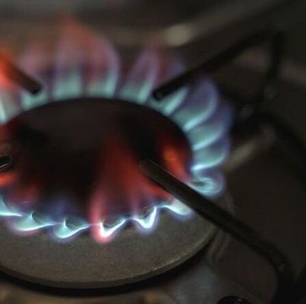 Le sixième plus grand fournisseur d'énergie Bulb demande un renflouement au milieu de la flambée des prix de gros du gaz