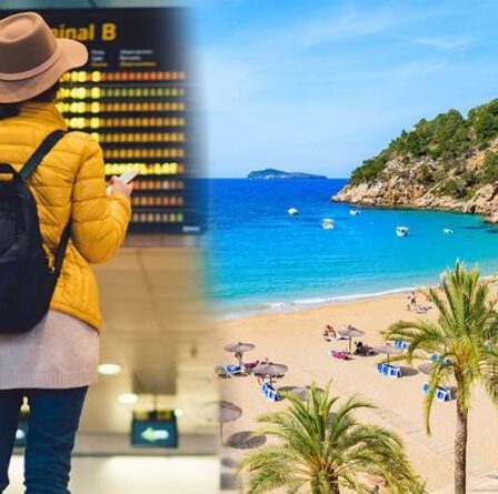 Le système de feux de circulation pourrait être «supprimé» et remplacé par de nouvelles règles à deux niveaux