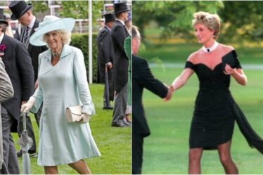 Le tour de cou de Camilla identique à celui que portait la princesse Diana avec une "tenue de vengeance"